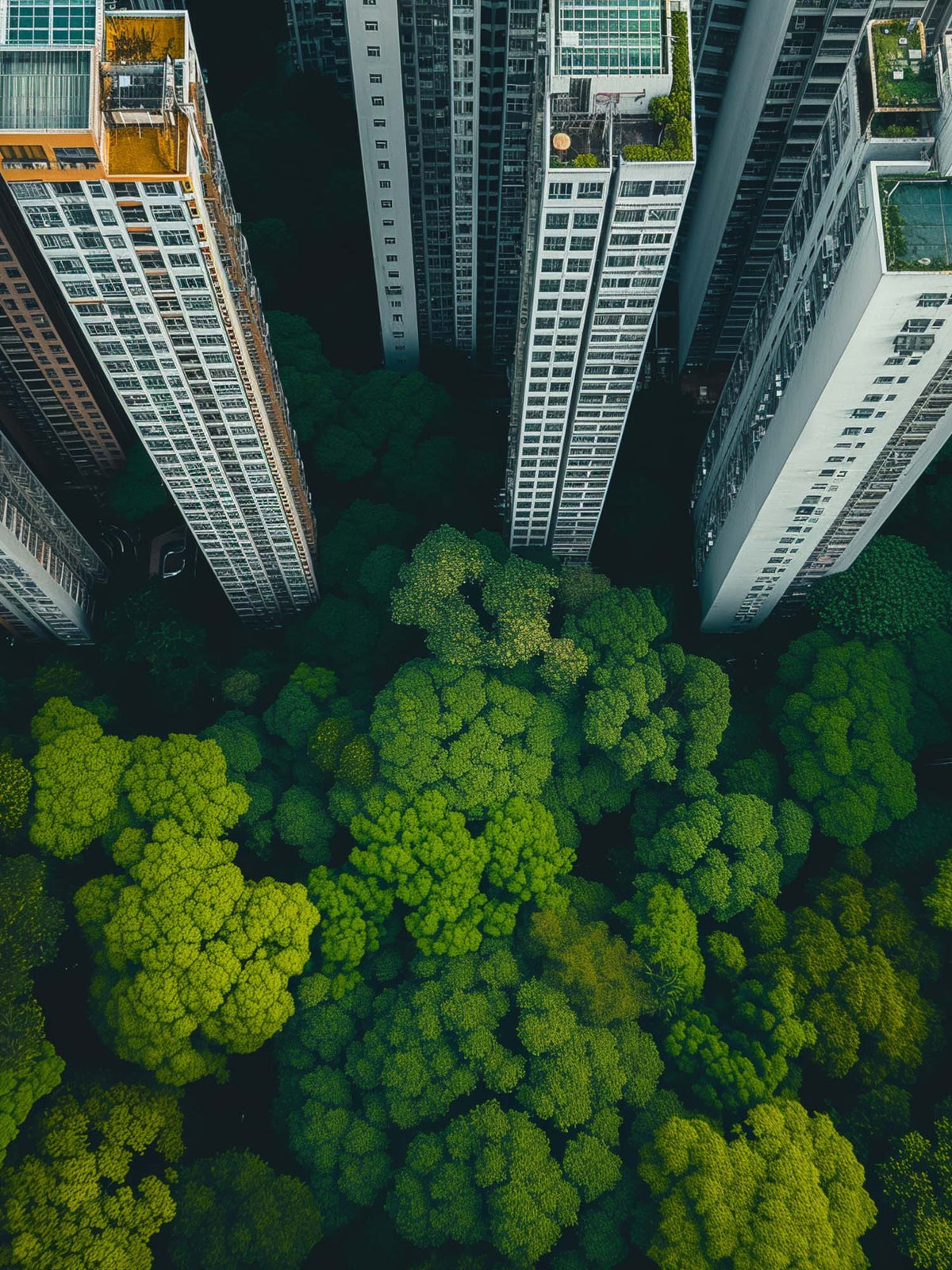 Stadt und Bäume verschmelzen miteinander