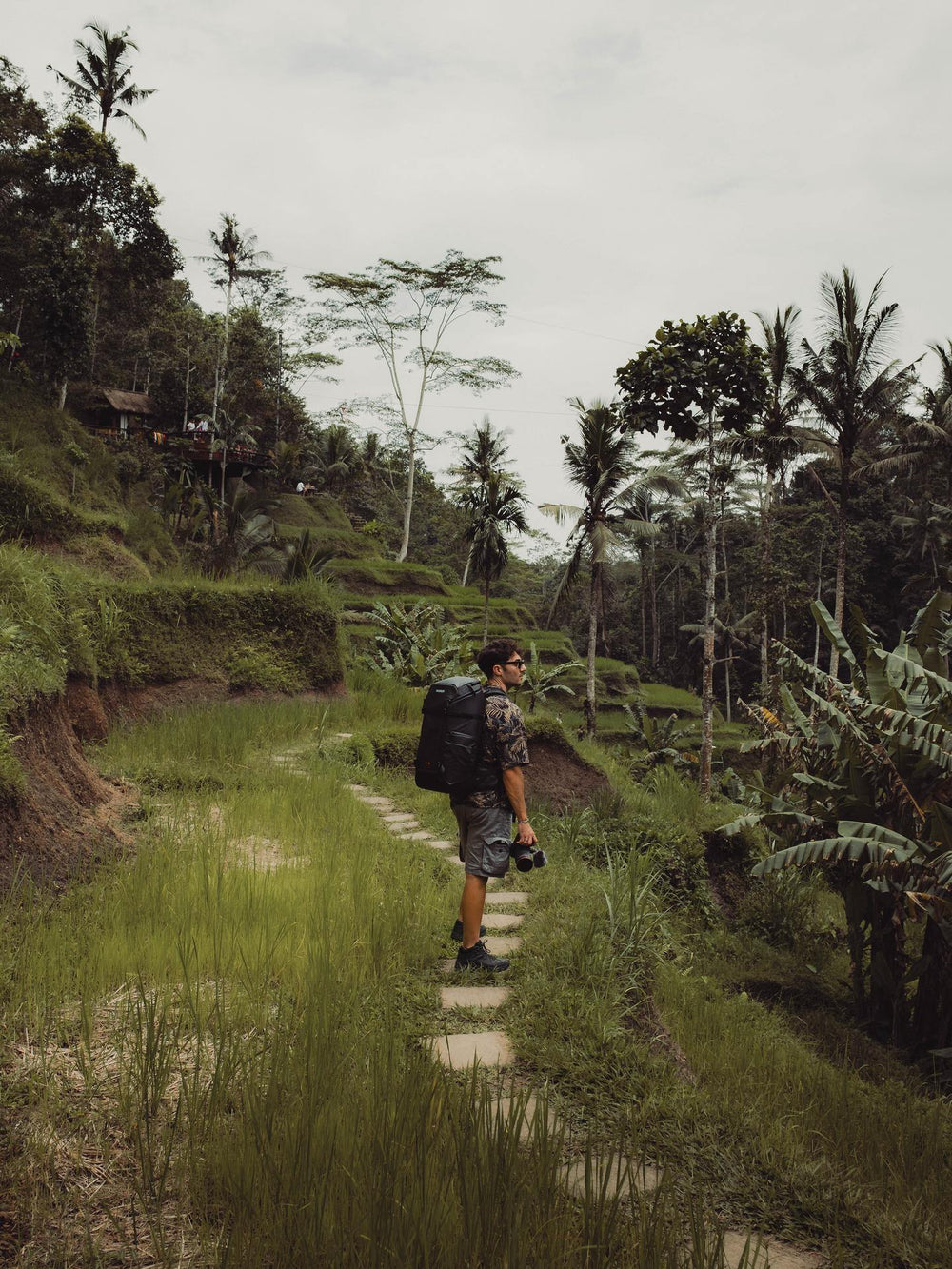Person with a backpack walking along a path in a lush green forest