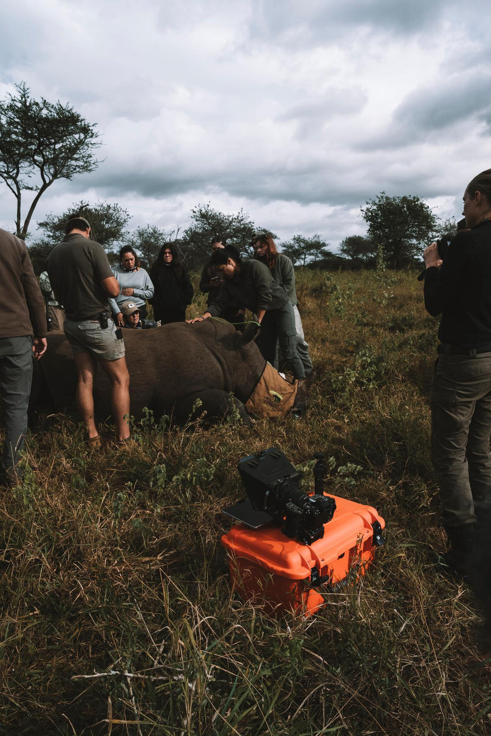 Group of people observing a rhinoceros in a natural setting with an orange bag on the ground.
