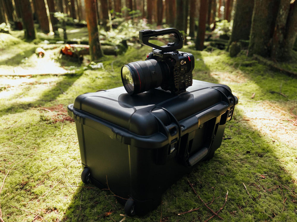 Camera on a black case in a forest setting