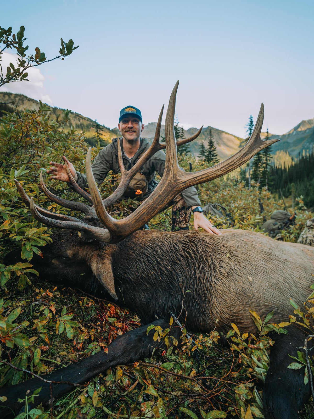 Man posing with a large elk in a mountainous landscape