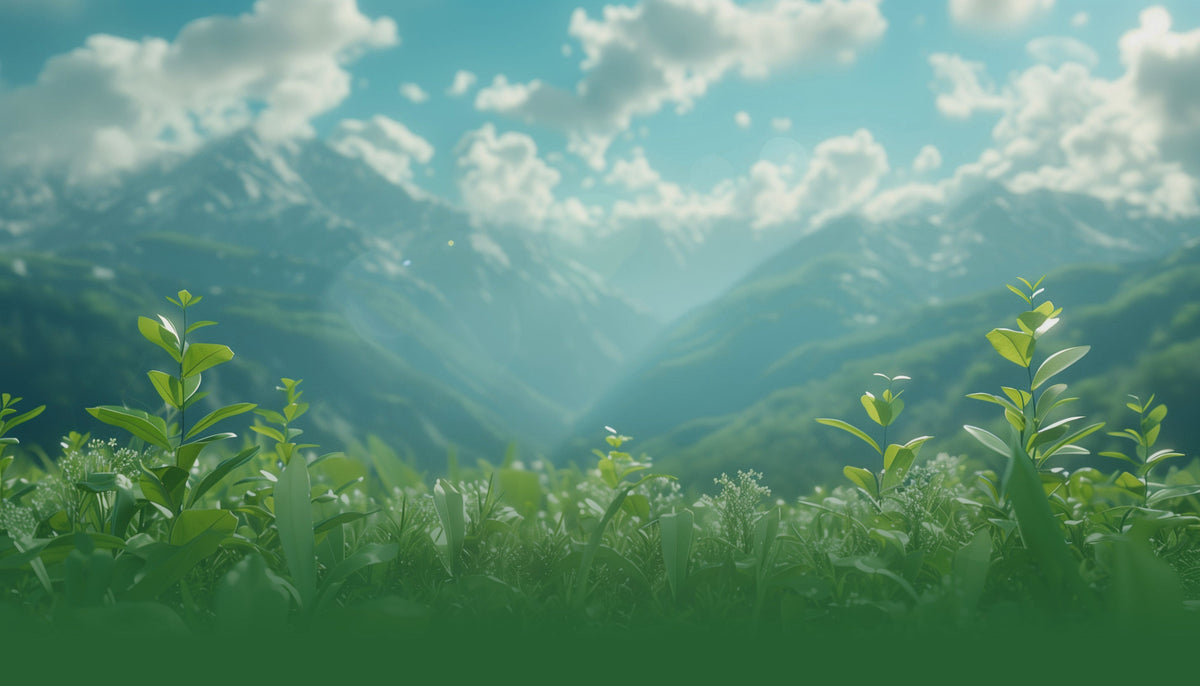 Üppig grüne Pflanzen und Berge, die für das Engagement von NANUK für Nachhaltigkeit und Natur stehen.