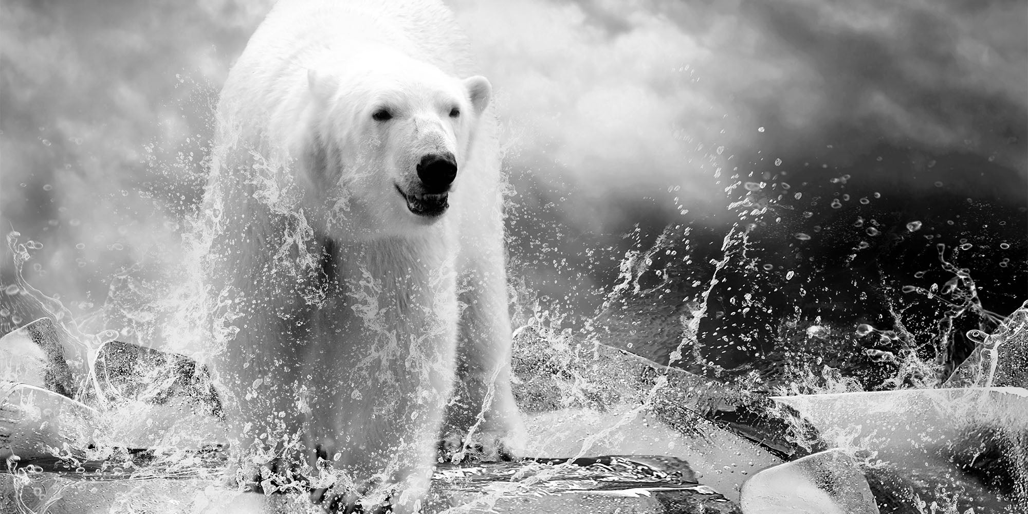 NANUK Polar Bear